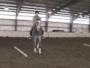 Bir At Üzerinde Jimnastik Bir Satır A