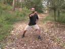 Tai Chi Dövüş Sanatı Uygulamaları : Tai Chi: