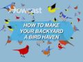 Nasıl Bir Kuş Cenneti Bahçende Yapmak